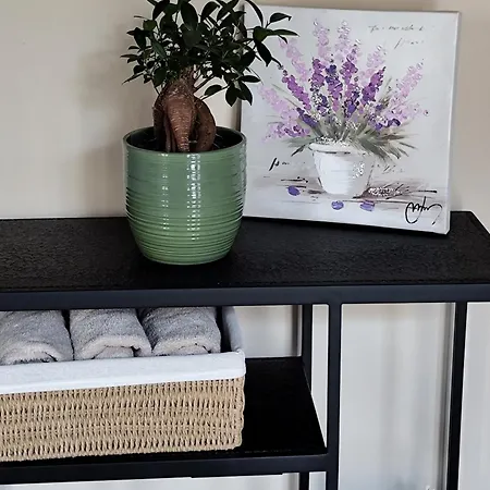 Maranta